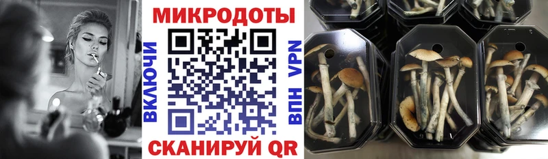 где найти наркотики Печоры гидра ссылки Галлюциногенные грибы ЛСД
